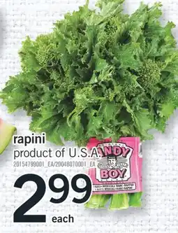 Fortinos RAPINI offer