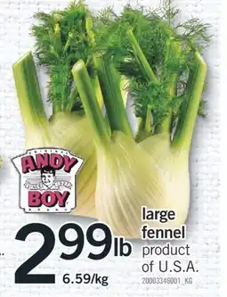 Fortinos LARGE FENNEL offer