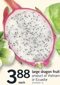 Fortinos LARGE DRAGON FRUIT offer