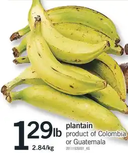 Fortinos PLANTAIN offer