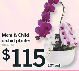 Fortinos MOM & CHILD ORCHID PLANTER, 10 pot offer