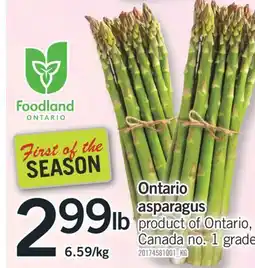 Fortinos ONTARIO ASPARAGUS offer