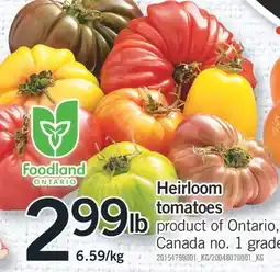 Fortinos HEIRLOOM TOMATOES offer
