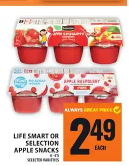 Food Basics LIFE SMART OR SELECTION APPLE SNACKS offer