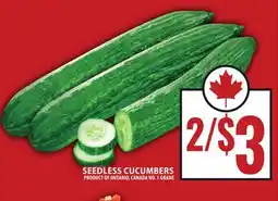 Food Basics SEEDLESS CUCUMBERS offer