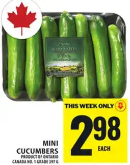 Food Basics MINI CUCUMBERS offer