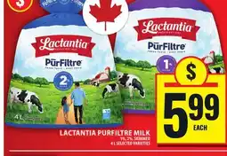 Food Basics LACTANTIA PURFILTRE MILK offer