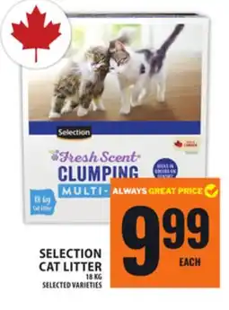 Food Basics SELECTION CAT LITTER offer