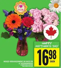 Food Basics MIXED ARRANGEMENT IN VASE OR 6 HYDRANGEAS offer