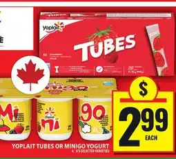 Food Basics YOPLAIT TUBES OR MINIGO YOGURT offer