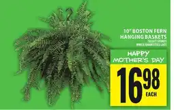 Food Basics 10 BOSTON FERN HANGING BASKETS offer
