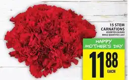 Food Basics 15 STEM CARNATIONS offer