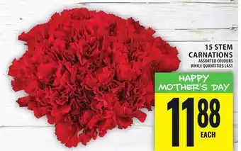 Food Basics 15 STEM CARNATIONS offer