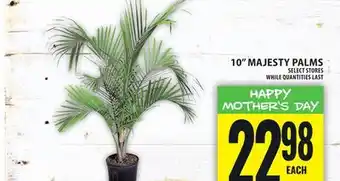 Food Basics 10 MAJESTY PALMS offer