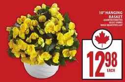 Food Basics 10 HANGING BASKET offer