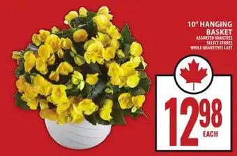 Food Basics 10 HANGING BASKET offer