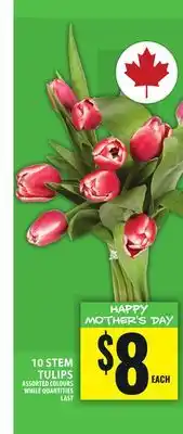 Food Basics 10 STEM TULIPS offer