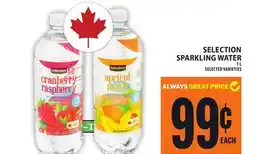 Food Basics SELECTION SPARKLING WATER offer