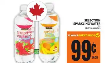 Food Basics SELECTION SPARKLING WATER offer