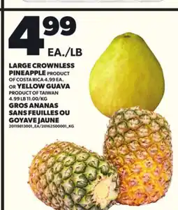 Independent Grocer LARGE CROWNLESS PINEAPPLE OR YELLOW GUAVA offer