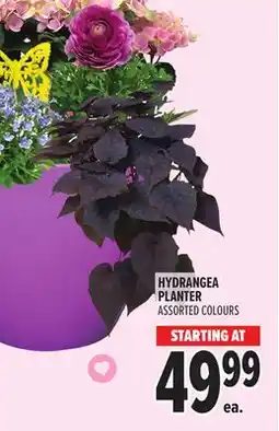 Metro HYDRANGEA PLANTER offer