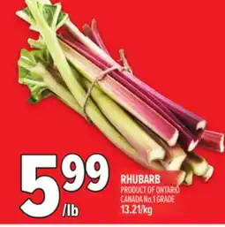 Metro RHUBARB offer