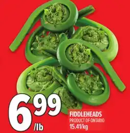 Metro FIDDLEHEADS offer