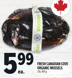 Metro FRESH CANADIAN COVE ORGANIC MUSSELS offer
