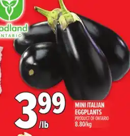Metro MINI ITALIAN EGGPLANTS offer