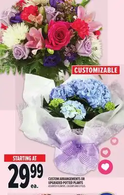 Metro CUSTOMIZABLE CUSTOM ARRANGEMENTS OR UPGRADED POTTED PLANTS offer