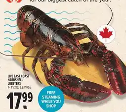 Metro LIVE EAST COAST HARDSHELL LOBSTERS offer