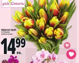 Metro FRESH CUT TULIPS offer