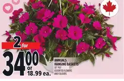 Metro ANNUALS HANGING BASKETS offer