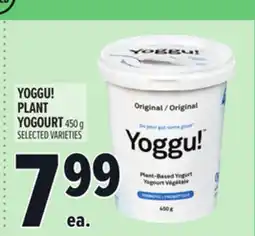 Metro YOGGU! PLANT YOGOURT offer