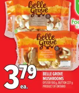 Metro BELLE GROVE MUSHROOMS offer