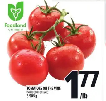 Metro TOMATOES ON THE VINE offer