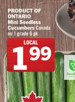 Foodland Mini Seedless Cucumbers offer