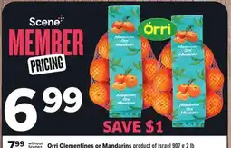 Foodland Orri Clementines or Mandarins offer