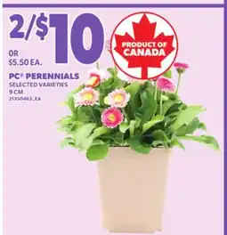 Loblaws PC PERENNIALS, 9 CM offer