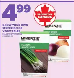 Loblaws GROW YOUR OWN SELECTION OF VEGETABLES offer