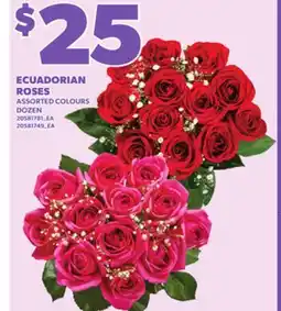 Loblaws ECUADORIAN ROSES offer