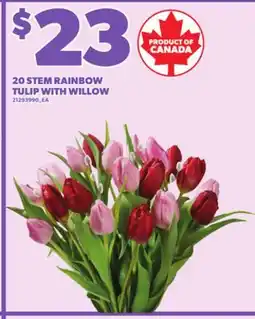Loblaws 20 STEM RAINBOW TULIP WITH WILLOW offer