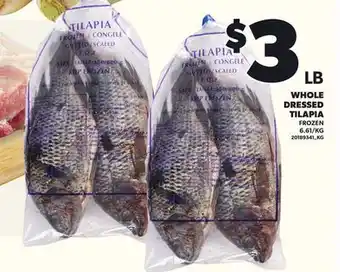 Loblaws WHOLE DRESSED TILAPIA offer