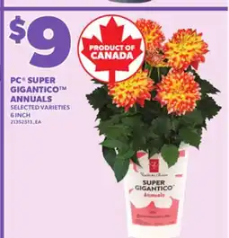 Loblaws PC SUPER GIGANTICO ANNUALS 6INCH offer