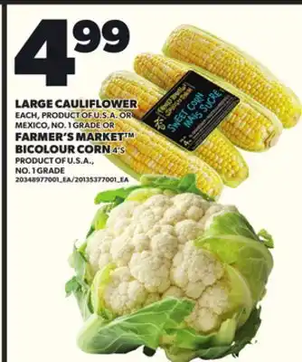 Loblaws LARGE CAULIFLOWER EACH OR FARMER'S MARKET BICOLOUR CORN 4'S offer