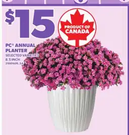Loblaws PC ANNUAL PLANTER, 8.5 INCH offer