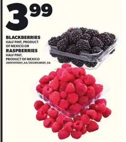 Loblaws BLACKBERRIES, HALF PINT OR RASPBERRIES, HALF PINT offer