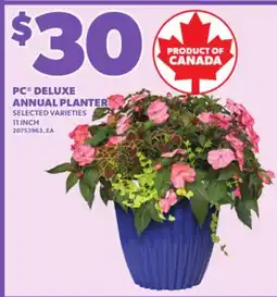 Loblaws PC DELUXE ANNUAL PLANTER, 11 INCH offer