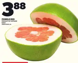 Loblaws POMELO RED, EACH offer