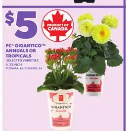 Loblaws PC GIGANTICO ANNUALS OR TROPICALS, 4.33 INCH offer